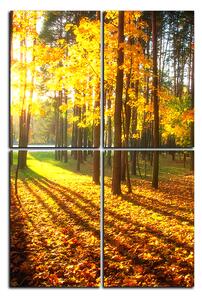 Obraz na plátně - Podzimní les - obdélník 7176E (90x60 cm)