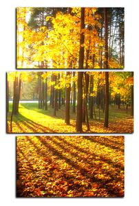 Obraz na plátně - Podzimní les - obdélník 7176C (120x80 cm)