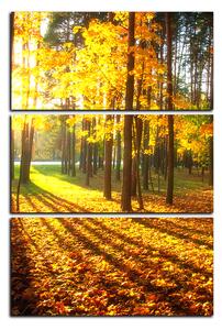 Obraz na plátně - Podzimní les - obdélník 7176B (90x60 cm )