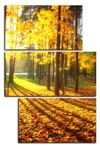 Obraz na plátně - Podzimní les - obdélník 7176D (120x80 cm)