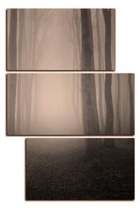 Obraz na plátně - Mlha v lese - obdélník 7182FD (120x80 cm)