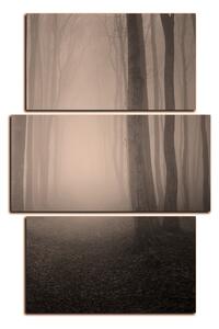 Obraz na plátně - Mlha v lese - obdélník 7182FC (120x80 cm)