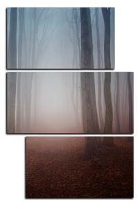 Obraz na plátně - Mlha v lese - obdélník 7182D (90x60 cm)