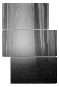 Obraz na plátně - Mlha v lese - obdélník 7182QD (90x60 cm)