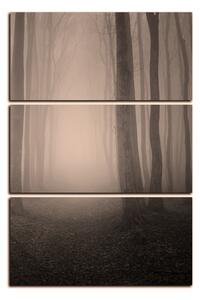 Obraz na plátně - Mlha v lese - obdélník 7182FB (90x60 cm )