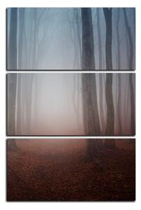 Obraz na plátně - Mlha v lese - obdélník 7182B (105x70 cm)