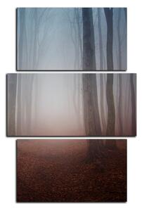 Obraz na plátně - Mlha v lese - obdélník 7182C (90x60 cm)