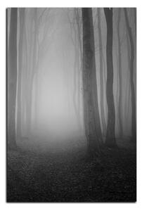 Obraz na plátně - Mlha v lese - obdélník 7182QA (90x60 cm )