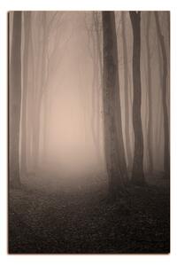 Obraz na plátně - Mlha v lese - obdélník 7182FA (100x70 cm)