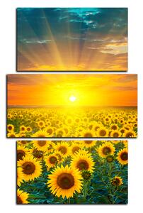Obraz na plátně - Slunečnicová pole při západu slunce - obdélník 7199C (120x80 cm)