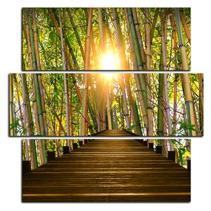 Obraz na plátně - Dřevěná promenáda v bambusovém lese - čtverec 3172D (75x75 cm)