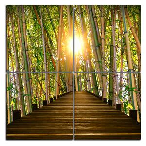 Obraz na plátně - Dřevěná promenáda v bambusovém lese - čtverec 3172E (60x60 cm)