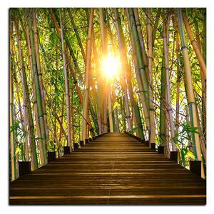 Obraz na plátně - Dřevěná promenáda v bambusovém lese - čtverec 3172A (50x50 cm)