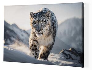 Obraz na plátně - sněžný leopard v horách FeelHappy.cz Rozměr obrazu (Šířka x Výška): 120 x 80 cm