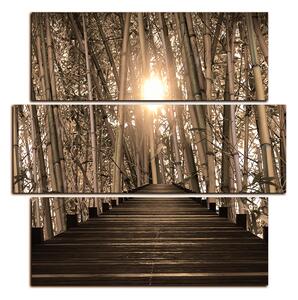Obraz na plátně - Dřevěná promenáda v bambusovém lese - čtverec 3172FD (75x75 cm)