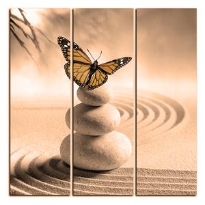 Obraz na plátně - Motýl na spa kameny - čtverec 3180FB (75x75 cm)