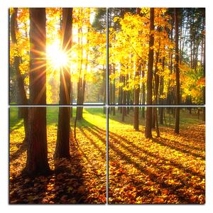 Obraz na plátně - Podzimní les - čtverec 3176E (60x60 cm)