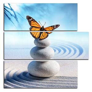Obraz na plátně - Motýl na spa kameny - čtverec 3180D (75x75 cm)