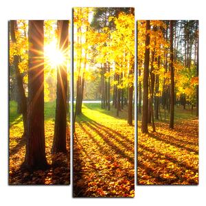 Obraz na plátně - Podzimní les - čtverec 3176C (75x75 cm)