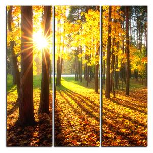 Obraz na plátně - Podzimní les - čtverec 3176B (75x75 cm)