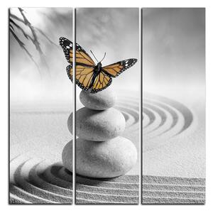 Obraz na plátně - Motýl na spa kameny - čtverec 3180QB (75x75 cm)