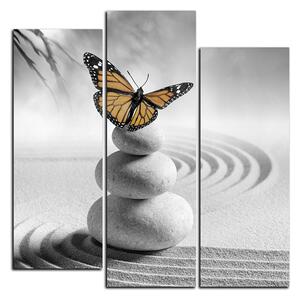 Obraz na plátně - Motýl na spa kameny - čtverec 3180QC (75x75 cm)