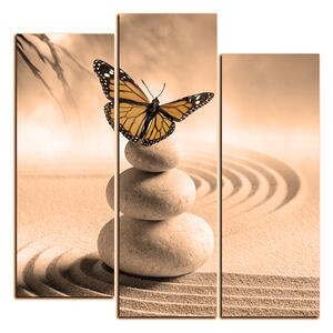 Obraz na plátně - Motýl na spa kameny - čtverec 3180FC (75x75 cm)