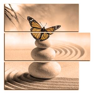 Obraz na plátně - Motýl na spa kameny - čtverec 3180FD (75x75 cm)