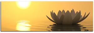 Obraz na plátně - Zen lotus - panoráma 5167A (105x35 cm)