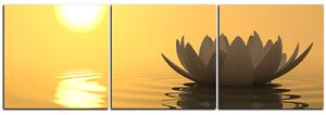 Obraz na plátně - Zen lotus - panoráma 5167B (90x30 cm)