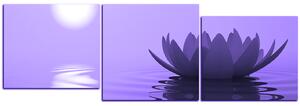 Obraz na plátně - Zen lotus - panoráma 5167VD (90x30 cm)