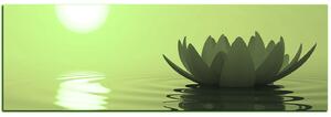 Obraz na plátně - Zen lotus - panoráma 5167ZA (105x35 cm)