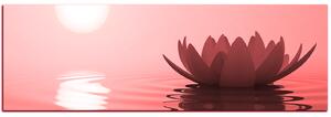 Obraz na plátně - Zen lotus - panoráma 5167CA (105x35 cm)