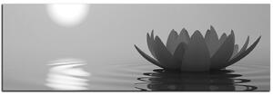Obraz na plátně - Zen lotus - panoráma 5167QA (105x35 cm)