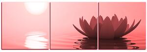 Obraz na plátně - Zen lotus - panoráma 5167CB (120x40 cm)