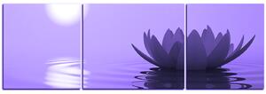 Obraz na plátně - Zen lotus - panoráma 5167VC (150x50 cm)