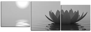 Obraz na plátně - Zen lotus - panoráma 5167QD (90x30 cm)