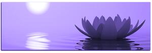 Obraz na plátně - Zen lotus - panoráma 5167VA (105x35 cm)
