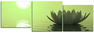 Obraz na plátně - Zen lotus - panoráma 5167ZD (150x50 cm)