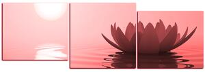Obraz na plátně - Zen lotus - panoráma 5167CD (90x30 cm)