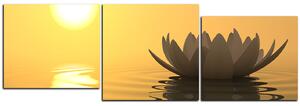 Obraz na plátně - Zen lotus - panoráma 5167D (150x50 cm)