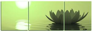 Obraz na plátně - Zen lotus - panoráma 5167ZC (90x30 cm)