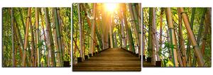 Obraz na plátně - Dřevěná promenáda v bambusovém lese - panoráma 5172D (90x30 cm)