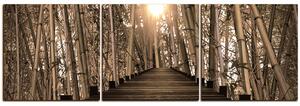 Obraz na plátně - Dřevěná promenáda v bambusovém lese - panoráma 5172FB (150x50 cm)