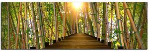 Obraz na plátně - Dřevěná promenáda v bambusovém lese - panoráma 5172A (105x35 cm)