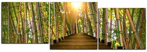 Obraz na plátně - Dřevěná promenáda v bambusovém lese - panoráma 5172E (150x50 cm)