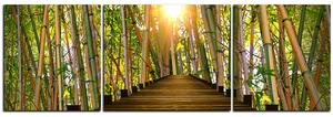 Obraz na plátně - Dřevěná promenáda v bambusovém lese - panoráma 5172C (90x30 cm)