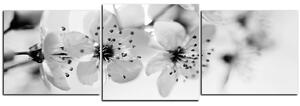 Obraz na plátně - Malé květy na větvi - panoráma 5173QD (150x50 cm)