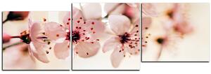 Obraz na plátně - Malé květy na větvi - panoráma 5173E (90x30 cm)