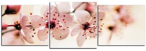 Obraz na plátně - Malé květy na větvi - panoráma 5173D (90x30 cm)